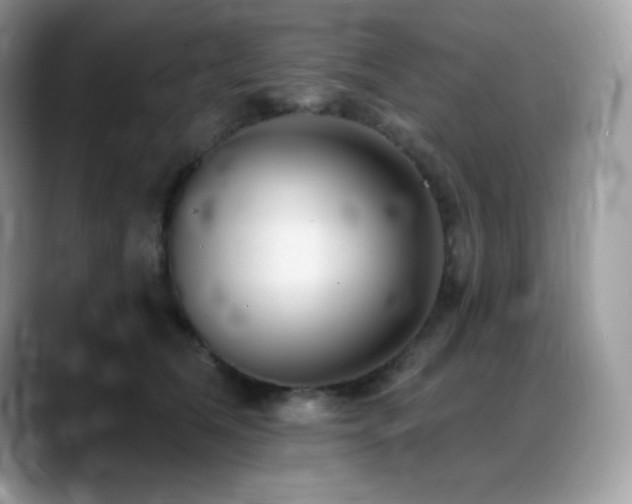 X0000088920612200706081400