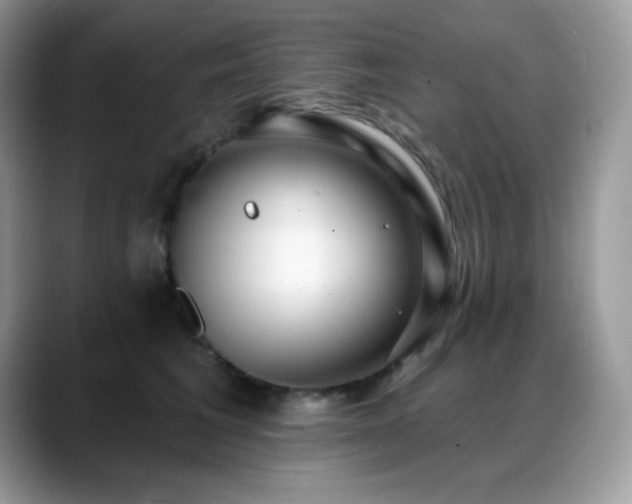 X0000088920613200706081400