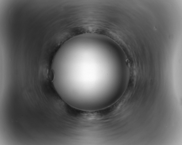 X0000088920615200706081400