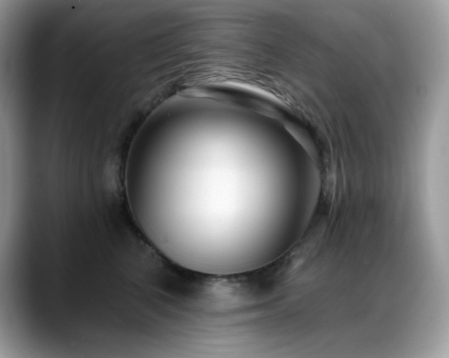 X0000088920616200706081400