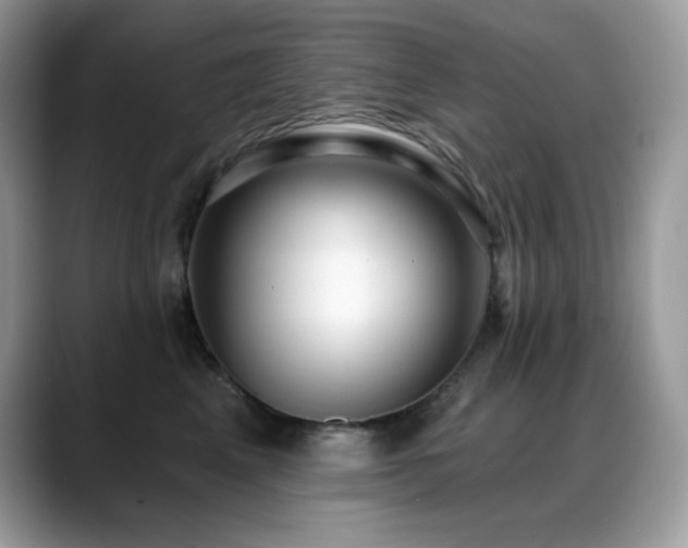 X0000088920617200706081400