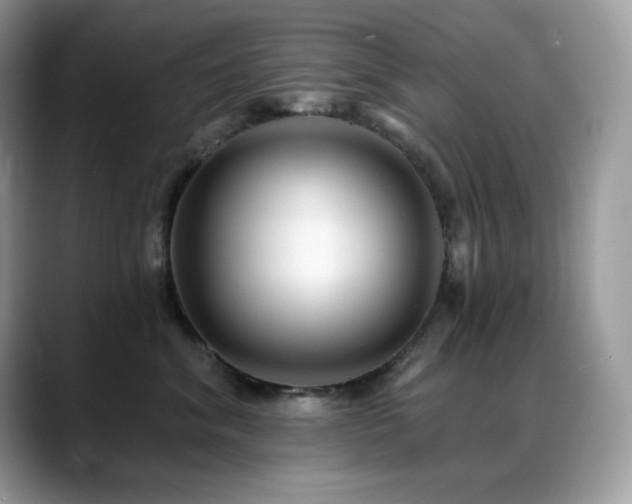 X0000088920620200706081400