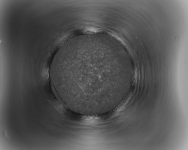 X0000088920621200706081400