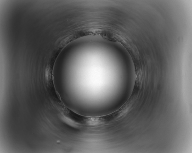 X0000088920623200706081400
