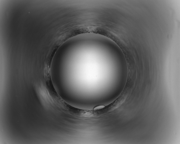 X0000088920624200706081400