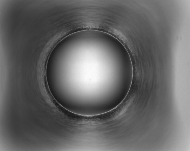X0000088920625200706081400