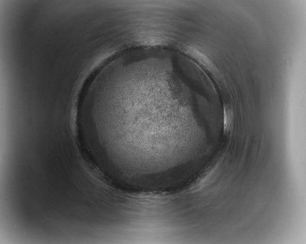 X0000088920627200706081400