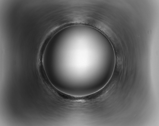 X0000088920628200706081400