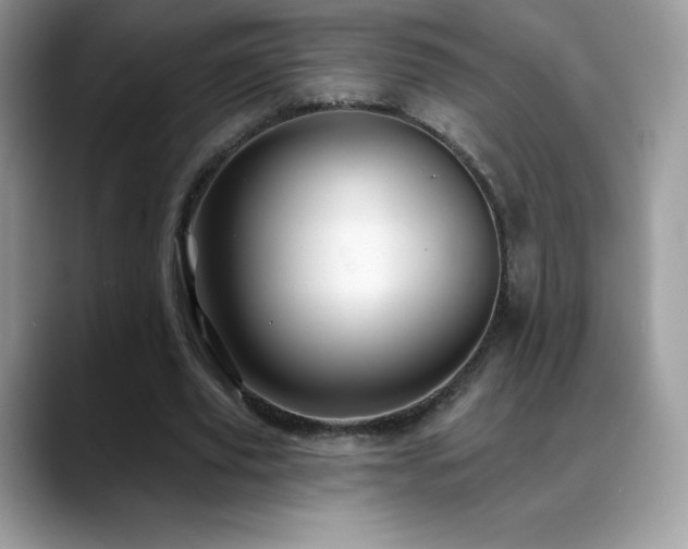 X0000088920629200706081400