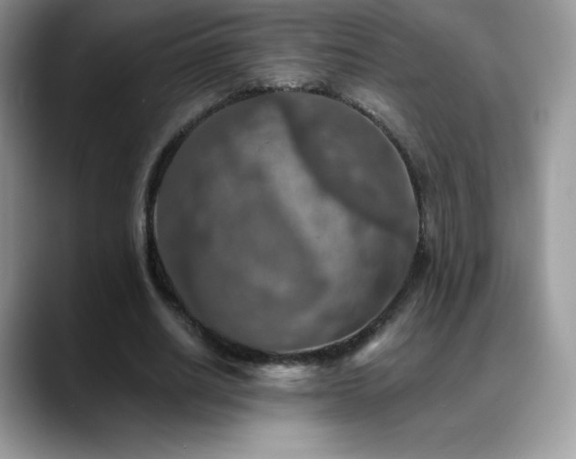 X0000088920630200706081400