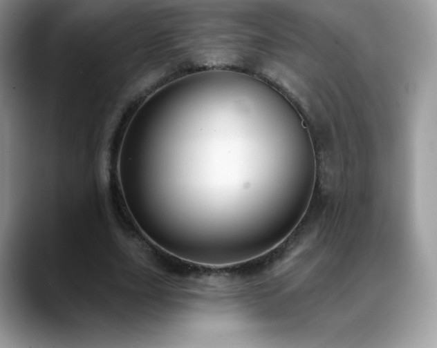 X0000088920631200706081400