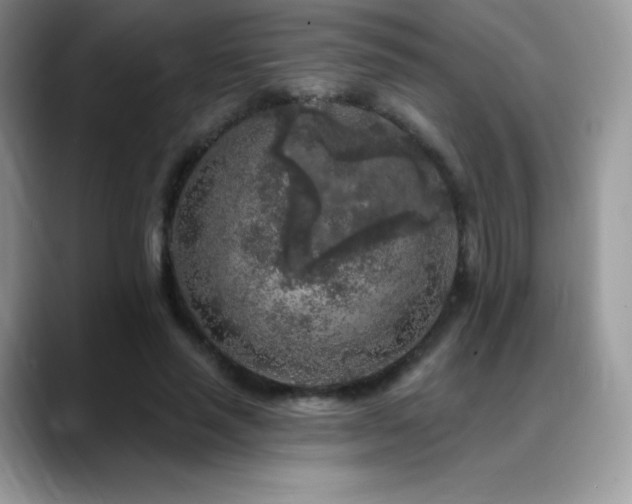 X0000088920637200706081400