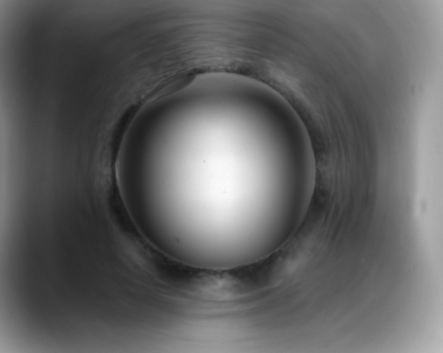 X0000088920642200706081400