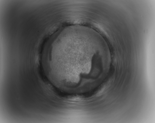 X0000088920643200706081400