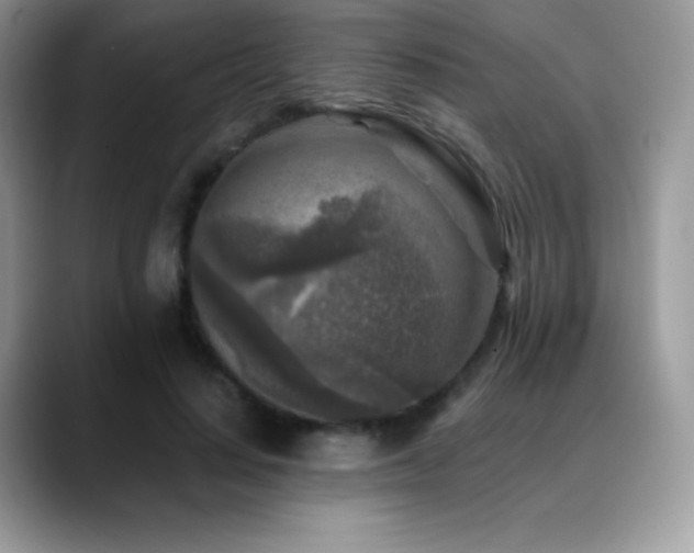 X0000088920644200706081400