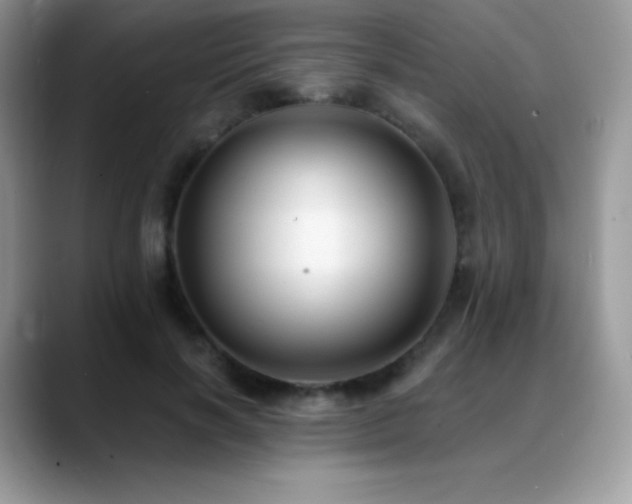 X0000088920646200706081400