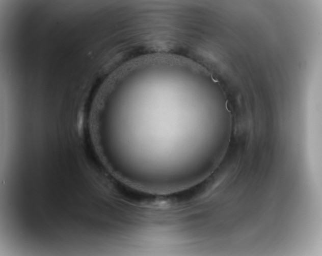 X0000088920647200706081400