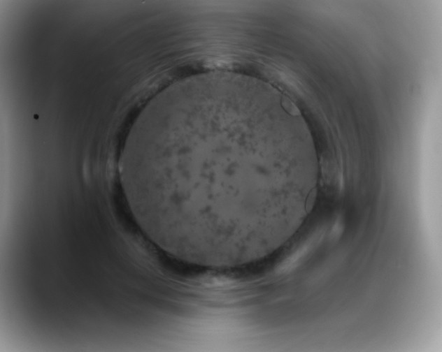 X0000088920648200706081400