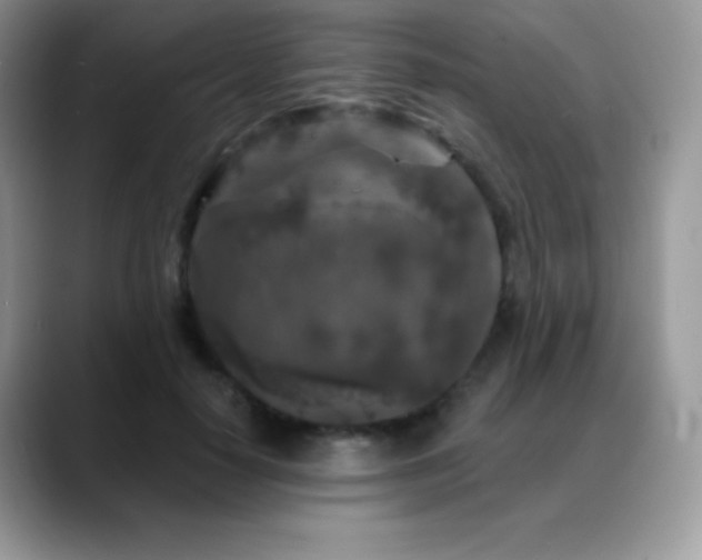 X0000088920650200706081400