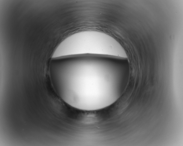 X0000088920651200706081400