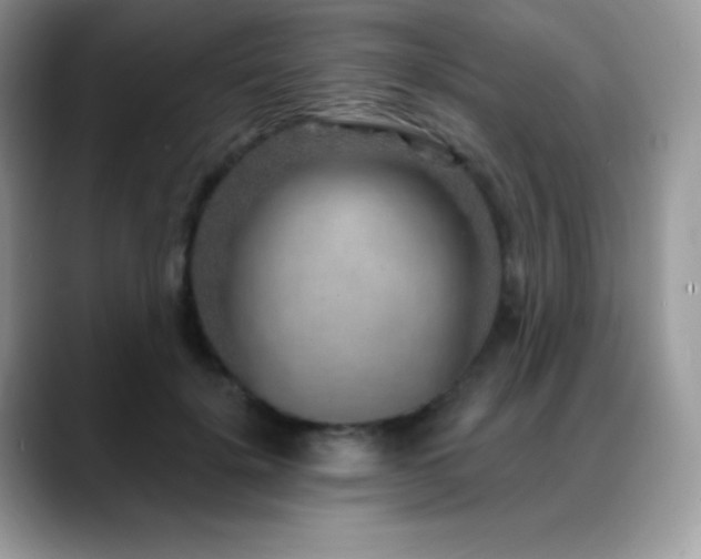 X0000088920652200706081400