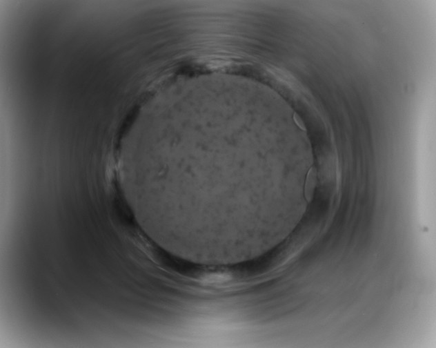 X0000088920653200706081400