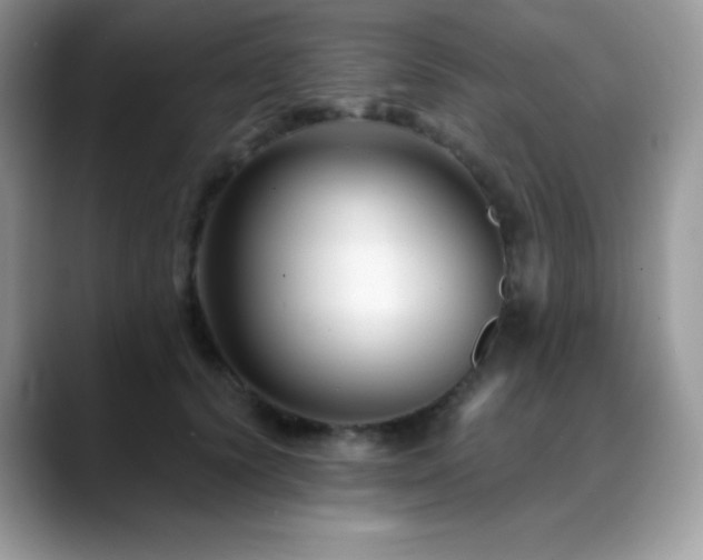 X0000088920656200706081400