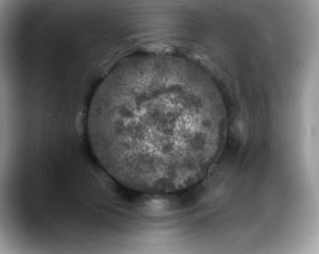 X0000088920658200706081400