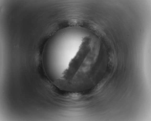 X0000088920659200706081400