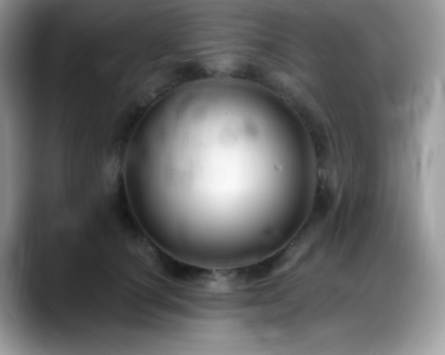 X0000088920660200706081400
