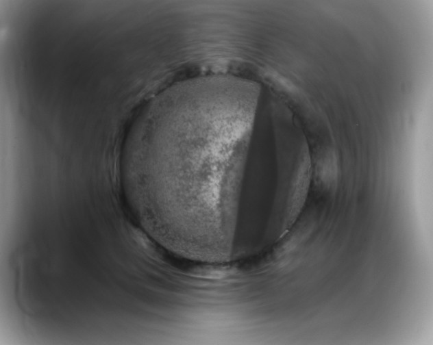 X0000088920661200706081400