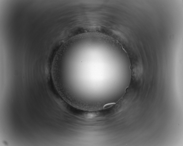 X0000088920662200706081400