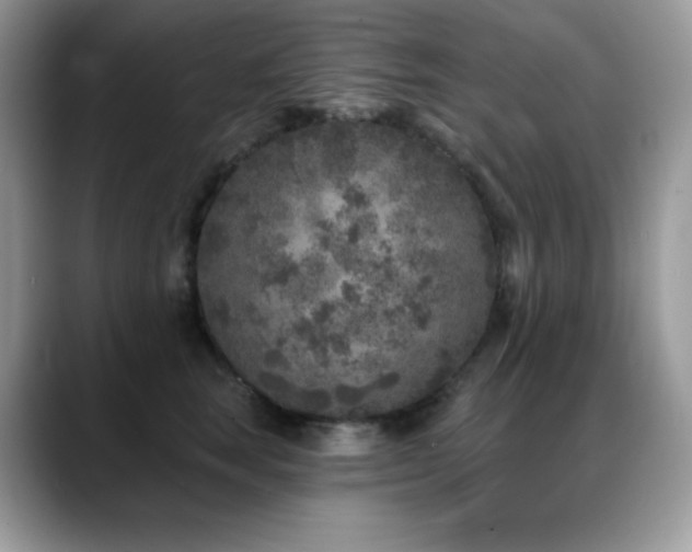 X0000088920663200706081400