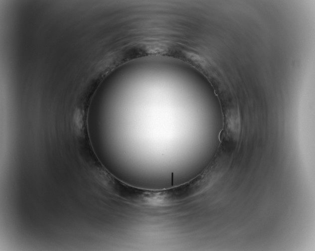 X0000088920667200706081400