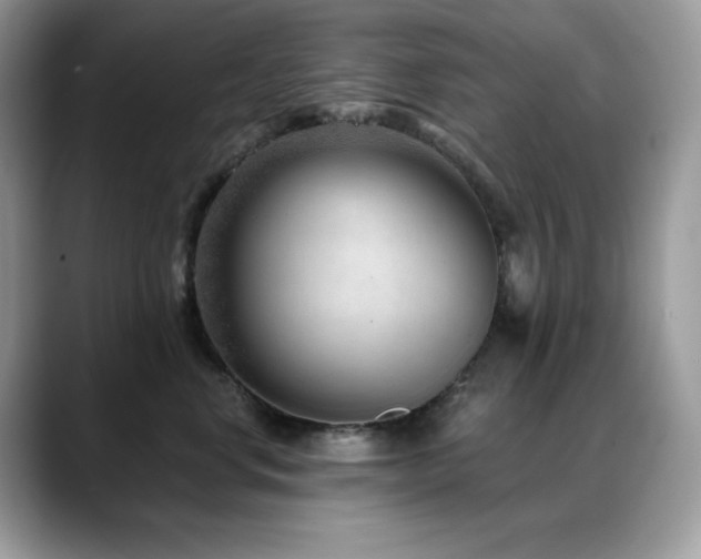 X0000088920668200706081400