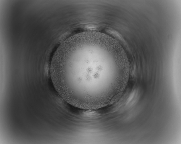 X0000088920669200706081400