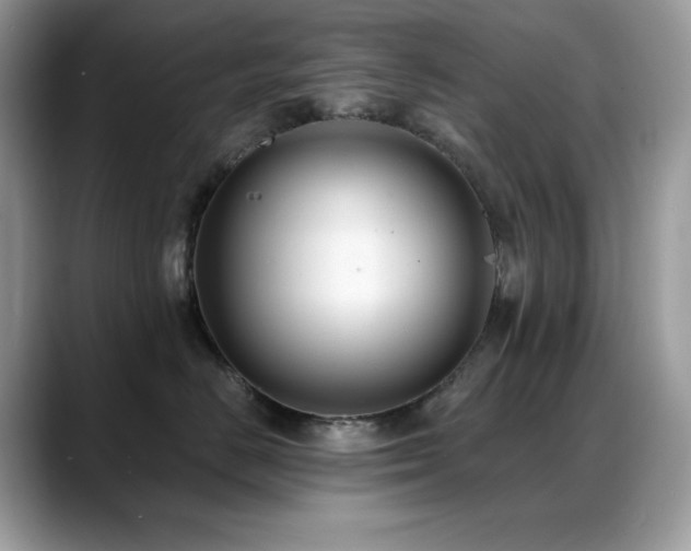 X0000088920670200706081400