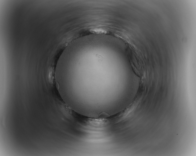 X0000088920671200706081400