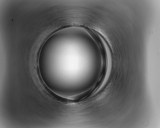 X0000088920673200706081400