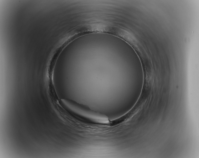 X0000088920674200706081400