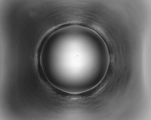 X0000088920676200706081400