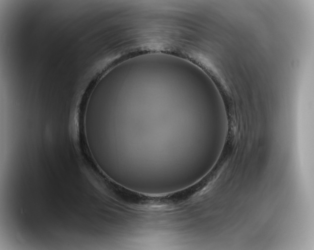 X0000088920678200706081400