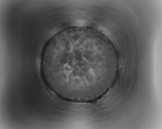 X0000088920679200706081400