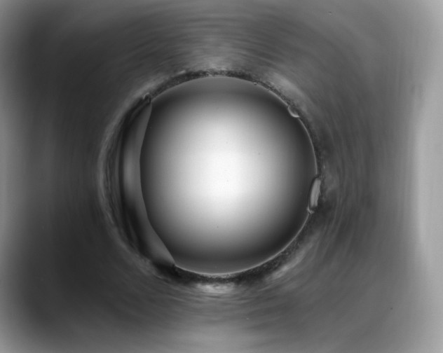 X0000088920680200706081400