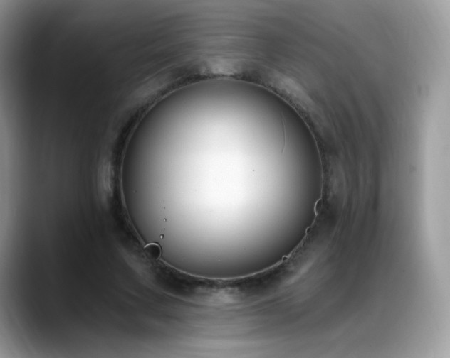 X0000088920683200706081400