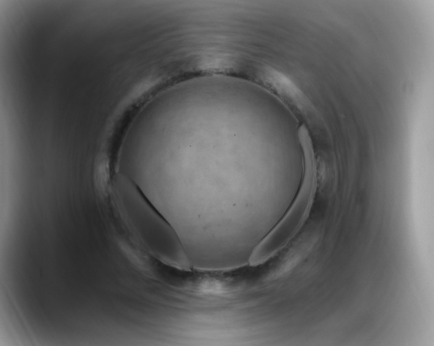 X0000088920684200706081400