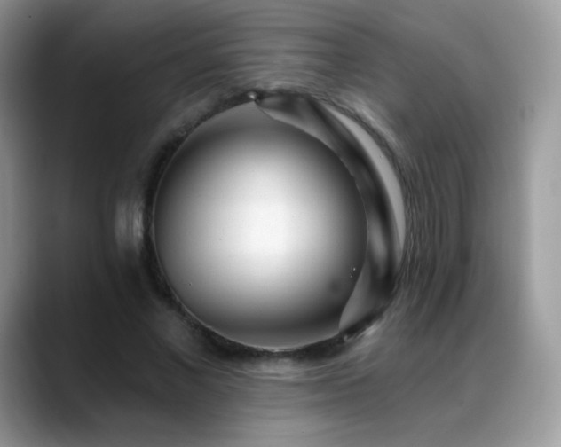 X0000088920685200706081400
