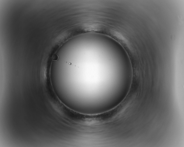 X0000088920686200706081359