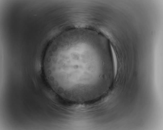 X0000088920687200706081359