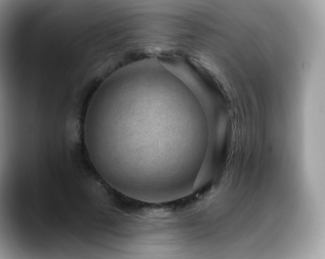 X0000088920689200706081359